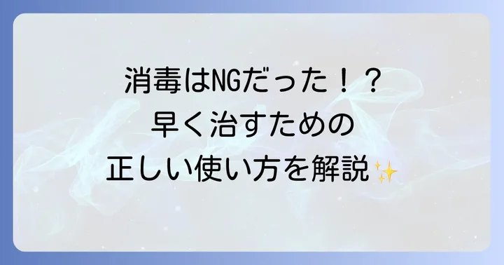 デュオアクティブの基本的な使い方をステップごとに解説