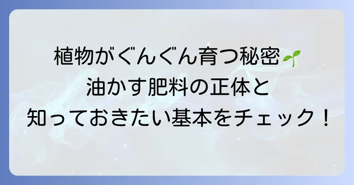 油かす肥料の基本を知ろう