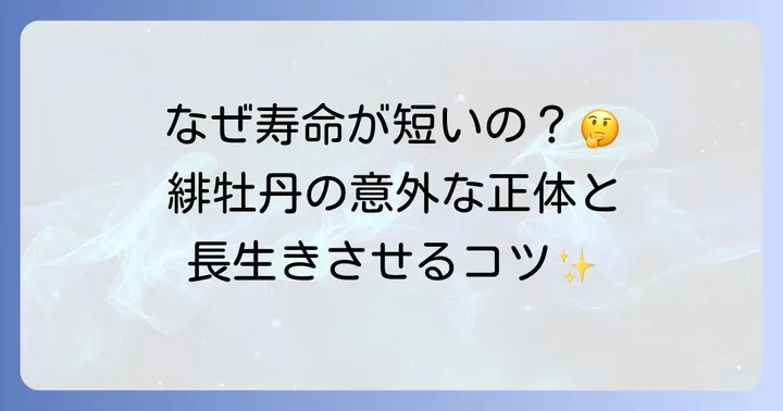 緋牡丹の魅力と独特な生態：なぜ寿命が短いと言われるのか？