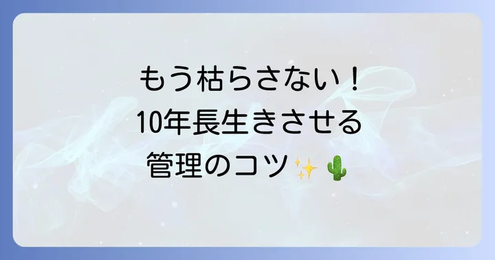 緋牡丹を長生きさせるための育て方と管理のコツ