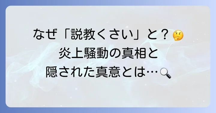 緋八マナ炎上騒動の具体的な内容と経緯