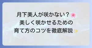 一夜花「月下美人」が咲かない原因と美しい花を咲かせる育て方を徹底解説