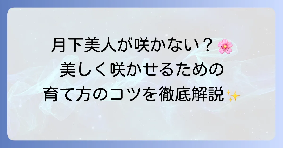 一夜花「月下美人」が咲かない原因と美しい花を咲かせる育て方を徹底解説