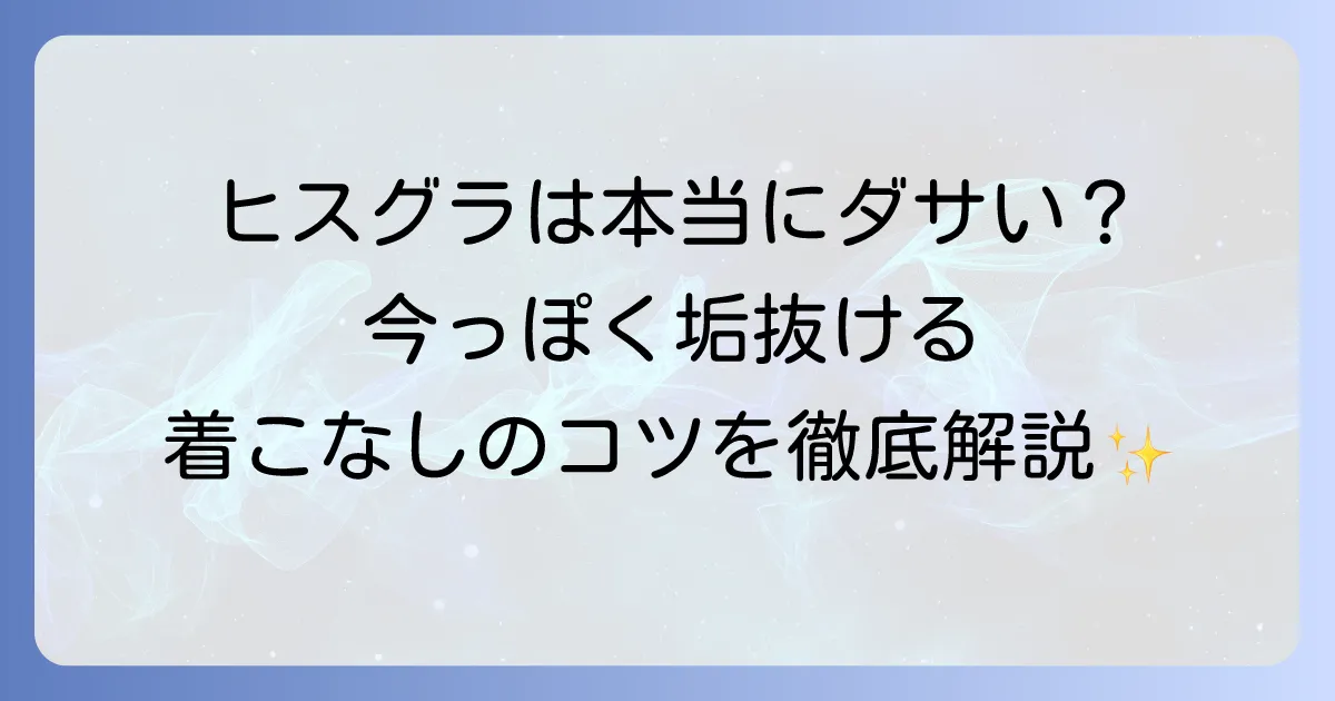 ヒステリックグラマーは本当にダサいのか？時代を超えて愛されるブランドの魅力を徹底解説