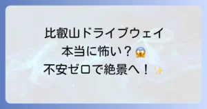 比叡山ドライブウェイが怖いというのは本当？不安を解消して絶景を楽しむための徹底解説