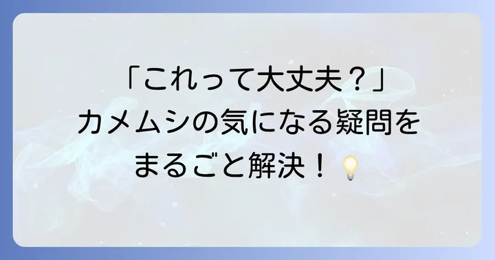 よくある質問
