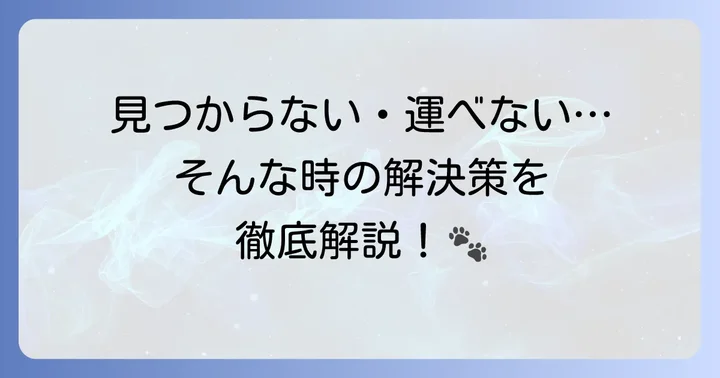 飛脚ネコが見つからない、運べない時の解決策