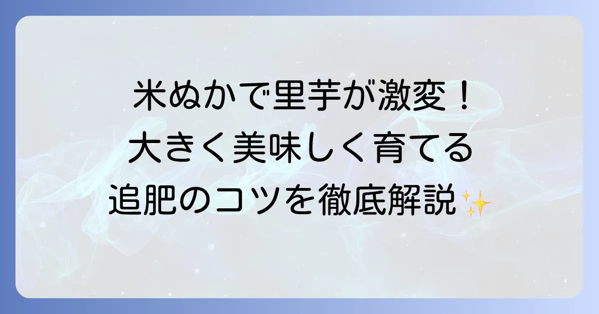 里芋の追肥に米ぬかを使うコツと栽培方法を徹底解説