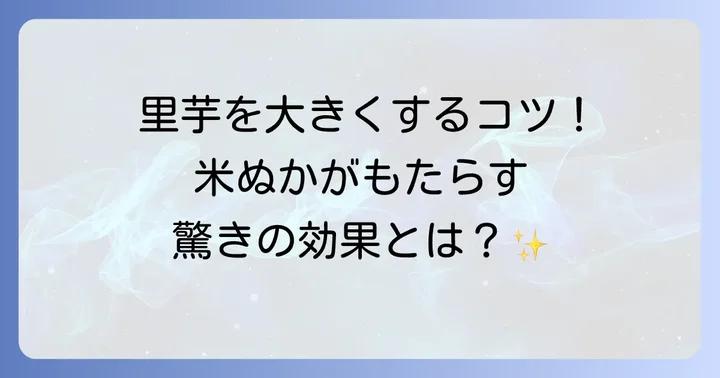 里芋栽培で追肥が欠かせない理由と米ぬかの魅力