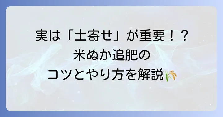 里芋の追肥に米ぬかを使う最適なタイミングとやり方
