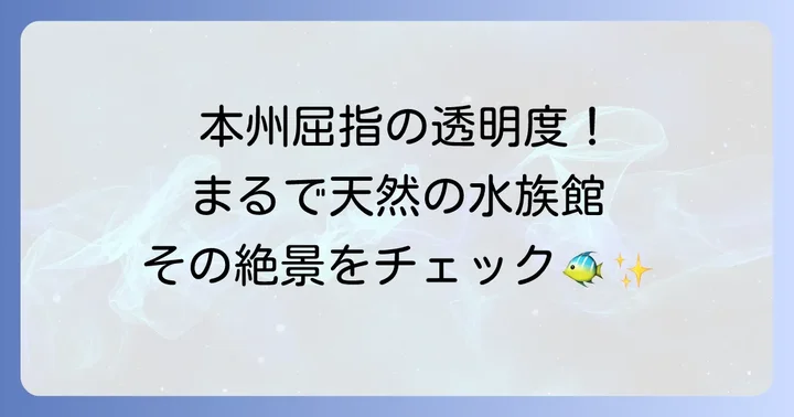 ヒリゾ浜の魅力とは？透明度抜群の海が織りなす絶景