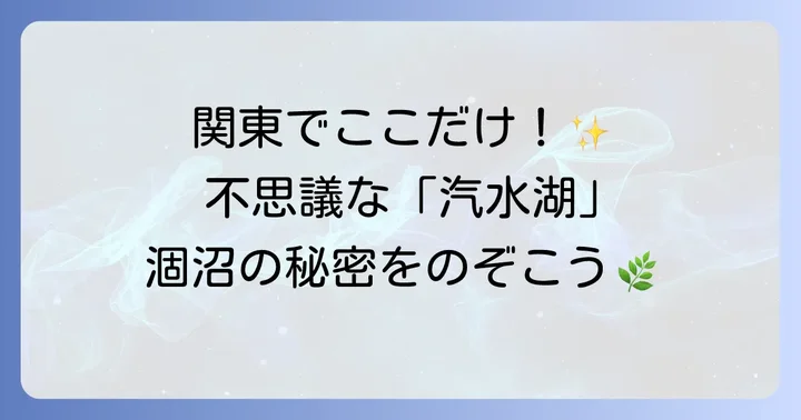 涸沼とは？関東唯一の汽水湖が持つ特別な魅力
