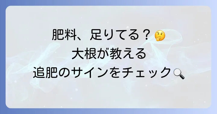 大根の生育状況から見る追肥のサイン