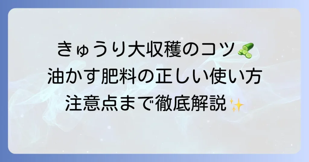 きゅうり栽培に油かす肥料は効果的？使い方から注意点までを徹底解説