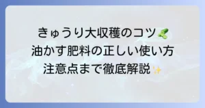 きゅうり栽培に油かす肥料は効果的？使い方から注意点までを徹底解説