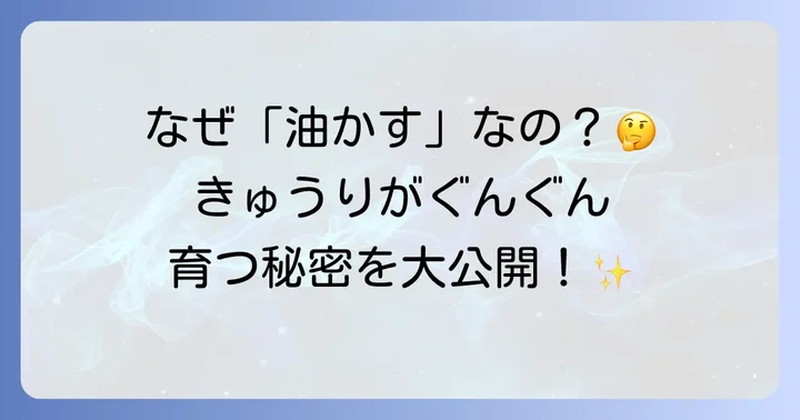 きゅうり栽培で油かす肥料が選ばれる理由