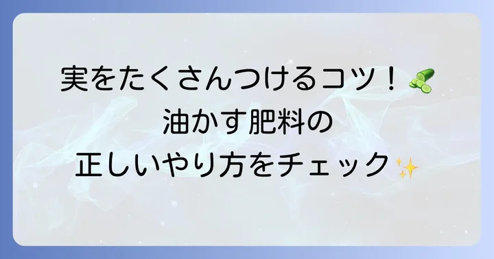 きゅうりへの油かす肥料の正しい使い方