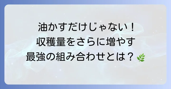 油かす以外のきゅうりにおすすめの肥料