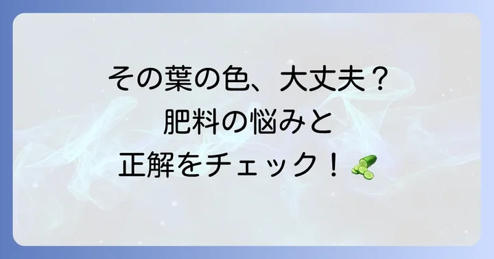 きゅうり栽培のよくある質問