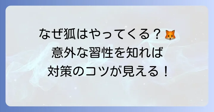 狐の生態と行動パターンを知る
