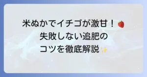 イチゴの追肥に米ぬかで甘くて美味しい実を！正しい使い方と土壌改良の秘訣