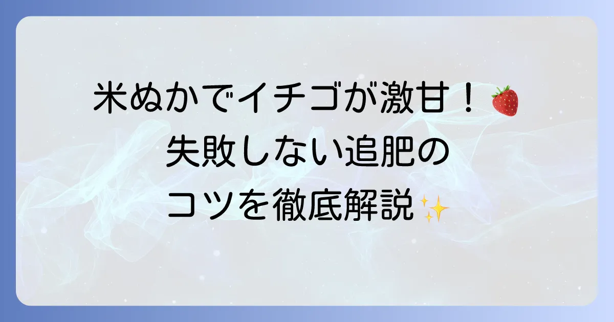 イチゴの追肥に米ぬかで甘くて美味しい実を!正しい使い方と土壌改良の秘訣