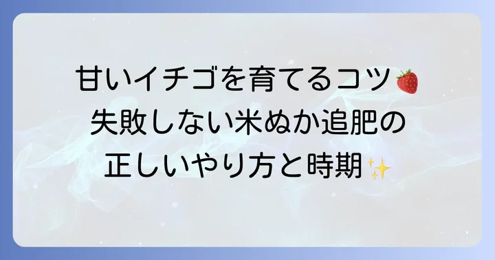 イチゴ追肥に米ぬかを使う正しい方法と時期