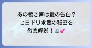 ヒヨドリの鳴き声と求愛の秘密を徹底解説！繁殖期の行動と鳴き声の意味