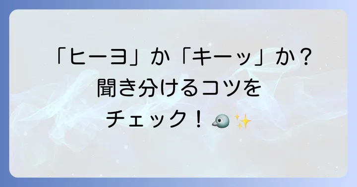 他の鳴き声との聞き分け方:求愛鳴き声の識別ポイント
