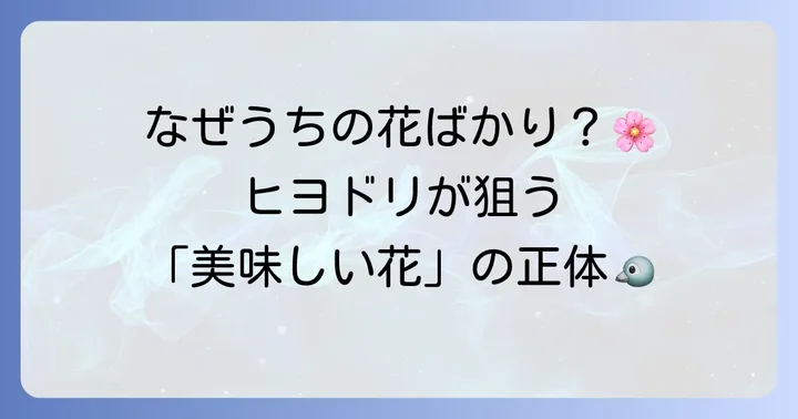 なぜヒヨドリは大切な花を食べてしまうのか?