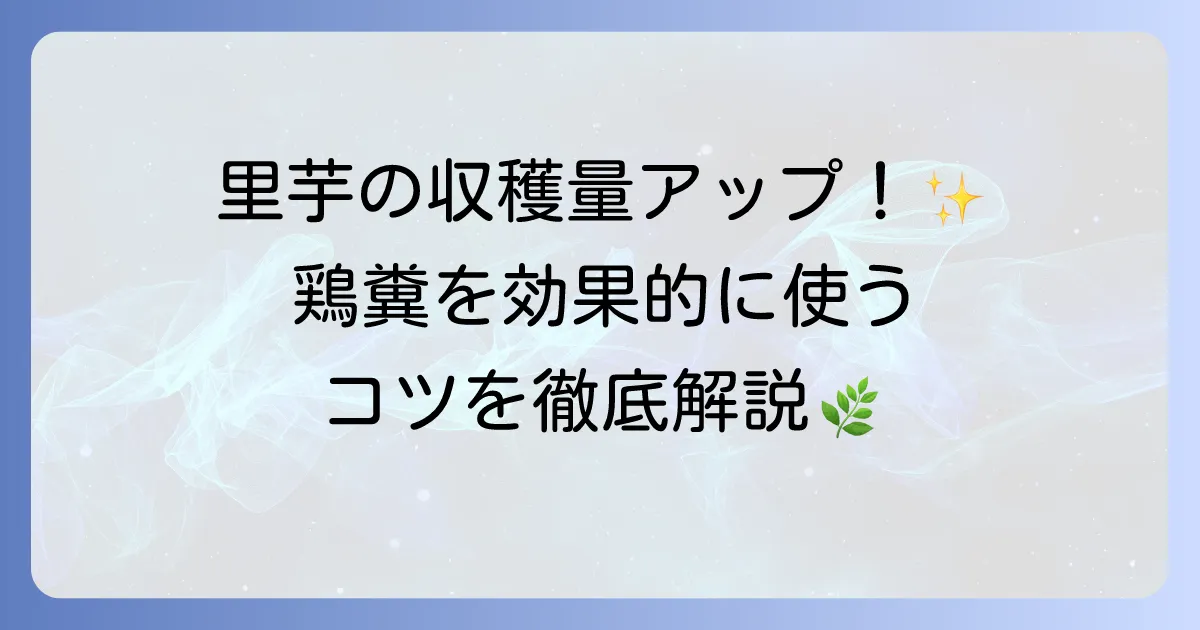 里芋の追肥に鶏糞を効果的に使う方法を徹底解説!収穫量をアップさせるコツ