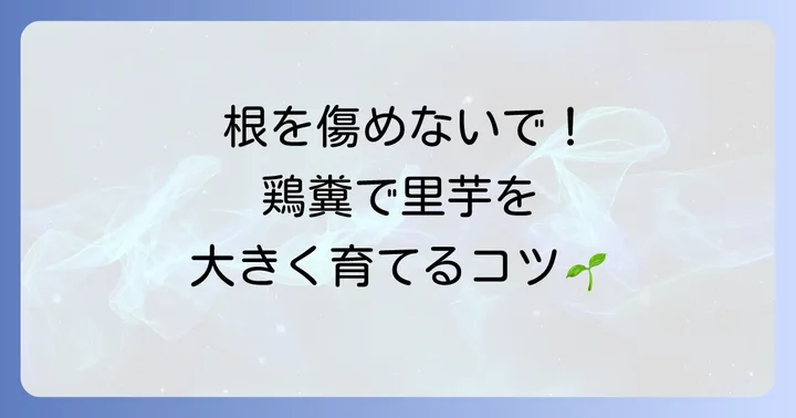 鶏糞を使った里芋の追肥方法と注意点