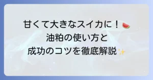 スイカの肥料に油粕を使う方法を徹底解説！甘くて大きな実を育てるためのコツ