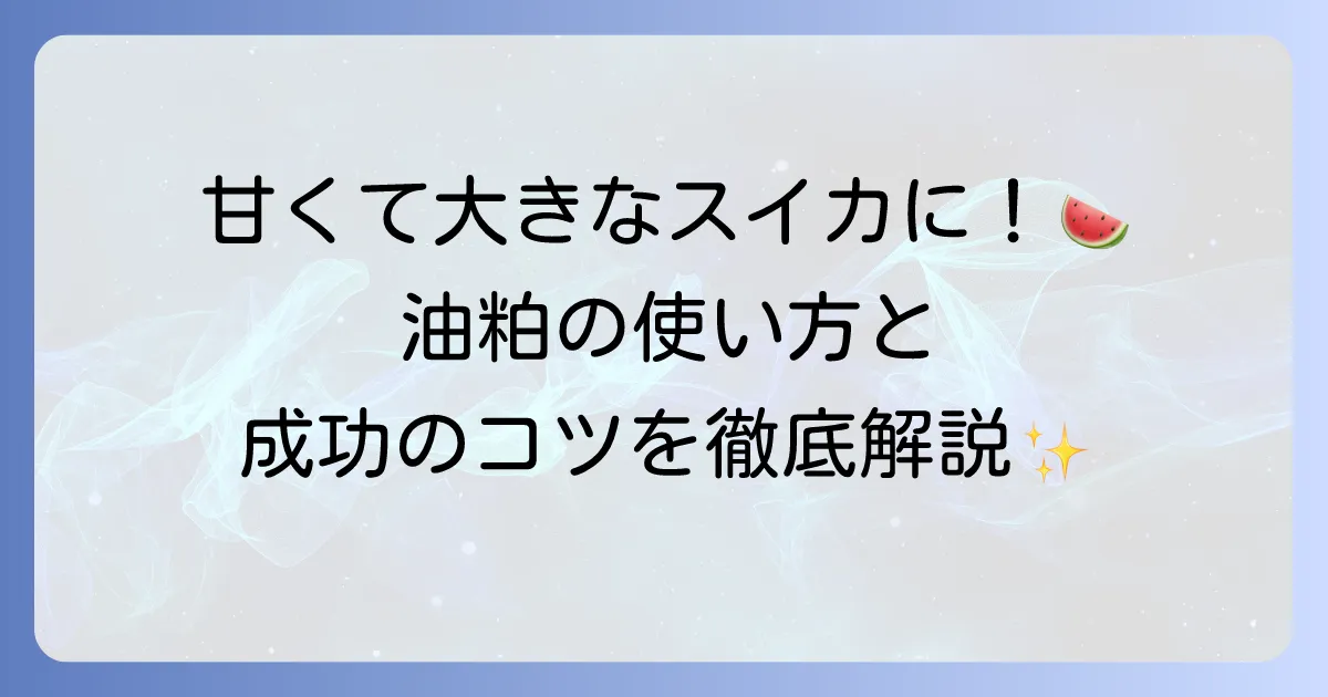 スイカの肥料に油粕を使う方法を徹底解説！甘くて大きな実を育てるためのコツ