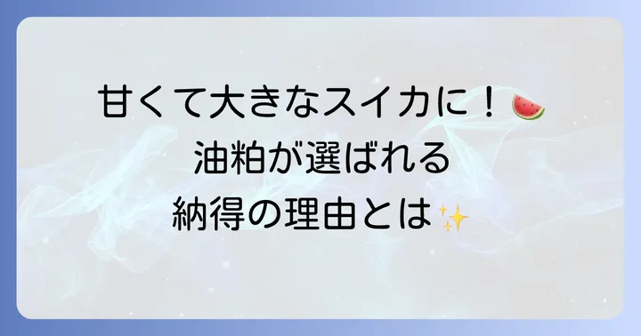 スイカ栽培で油粕肥料が選ばれる理由