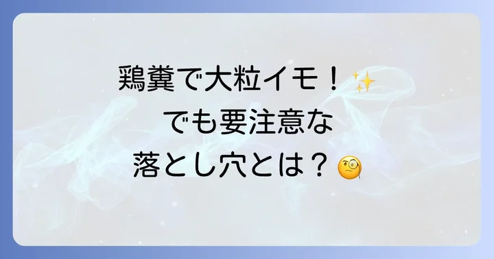 じゃがいも栽培で鶏糞を使うメリットと注意点