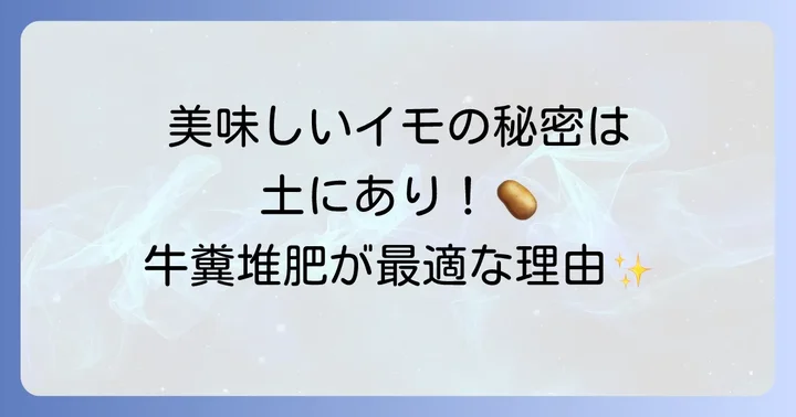 牛糞堆肥がじゃがいもの土作りに最適な理由