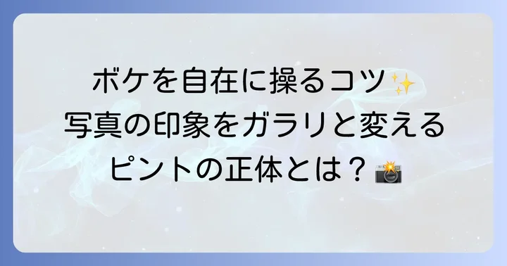 被写界深度とは?写真の「ボケ」と「ピント」の範囲を理解する