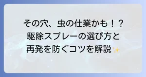 ヒメマルカツオブシムシ駆除スプレーの選び方と使い方！幼虫・成虫への対策から予防まで