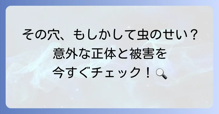 ヒメマルカツオブシムシとは？その生態と被害を知ろう