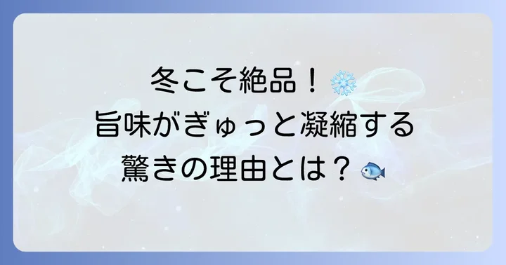 冬のアジ干物作りがおすすめな理由