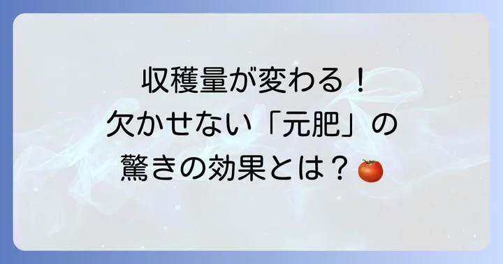 トマト栽培の土台を築く元肥の役割