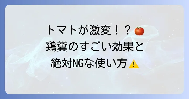 鶏糞をトマトの元肥に選ぶメリットと注意点