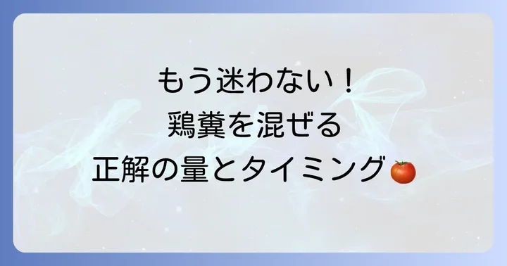 トマトの元肥に鶏糞を施す具体的な進め方