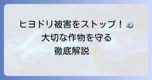 ヒヨドリが来なくなる！庭や畑の被害を止めるための効果的な対策方法