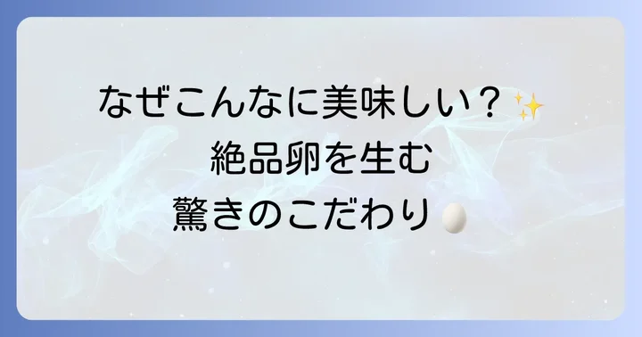 鈴木養鶏場の卵が選ばれる理由とは？美味しさの秘密に迫る