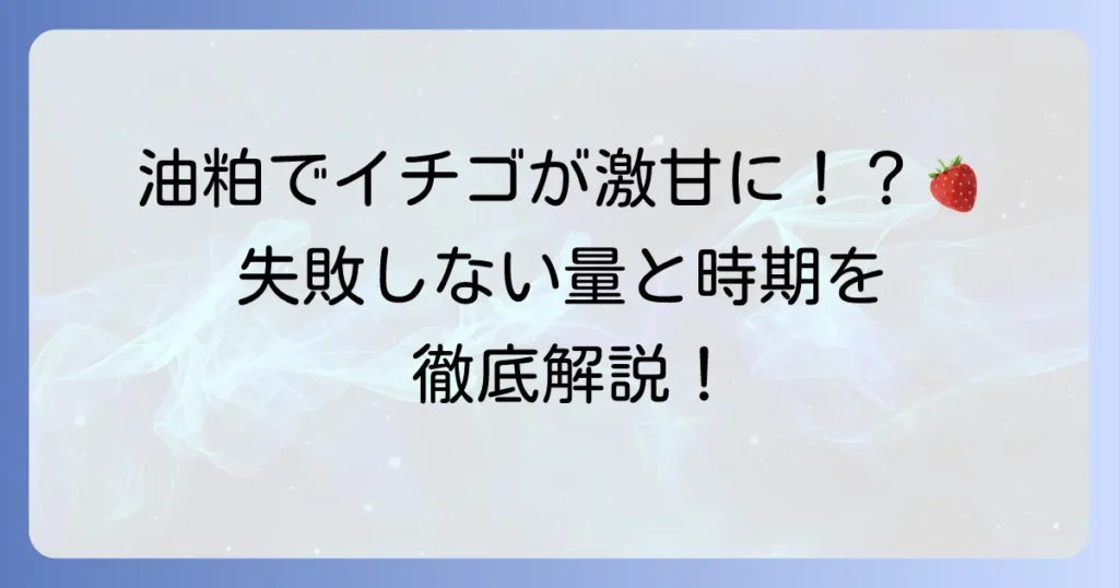 イチゴの追肥に油粕は最適なのか？時期と量、正しい使い方で甘いイチゴを収穫