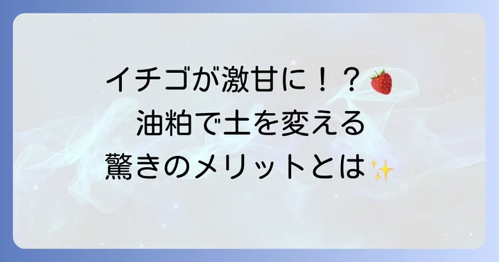イチゴ栽培で油粕を追肥に使うメリットとは?