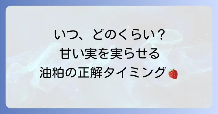 イチゴの追肥に油粕を与える最適な時期と量