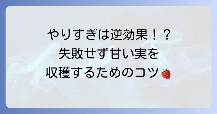 油粕をイチゴの追肥に使う際の注意点と失敗しないコツ